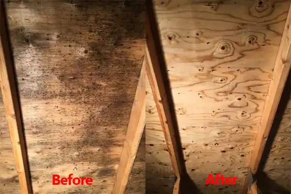 water damage restoration service New Germany